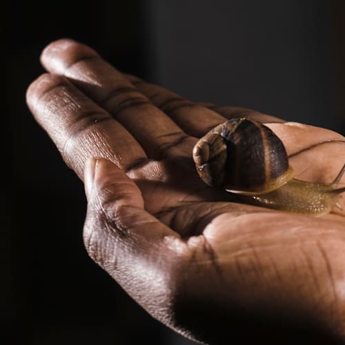 Ginger-people&food, Agrigento