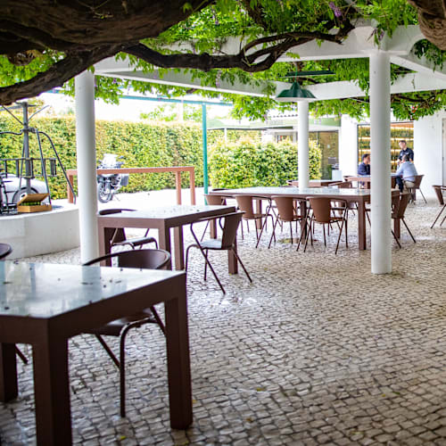 OH!VARGAS, Santarém