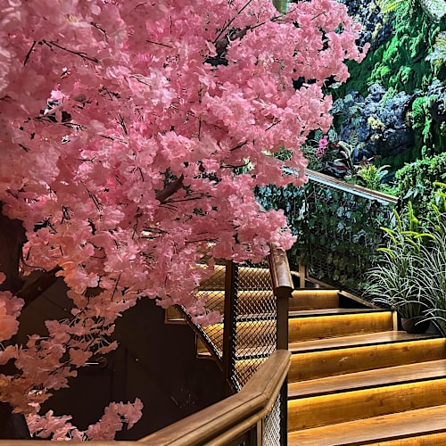 Changke Sushi, Madrid