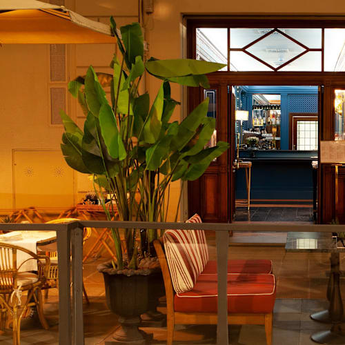 Cibrèo Caffè - Helvetia & Bristol , Firenze