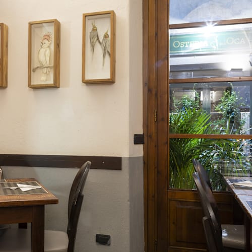 Casella 18, Firenze