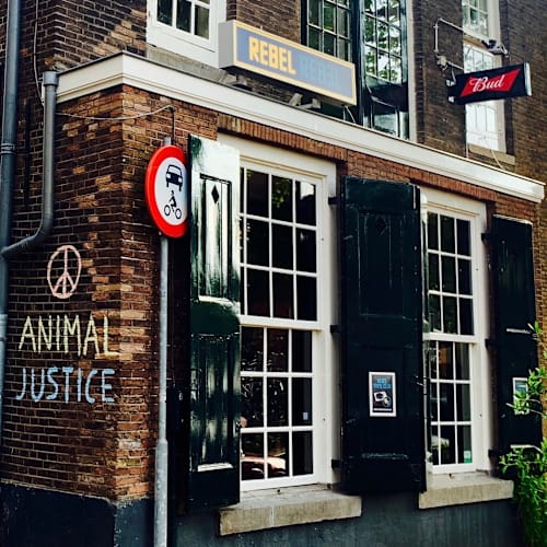 Rebel Rebel, Dordrecht