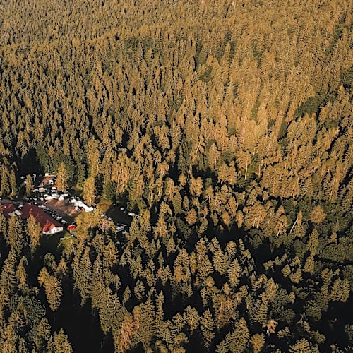 Forest Camp Val Di Gresta, Ronzo-Chienis