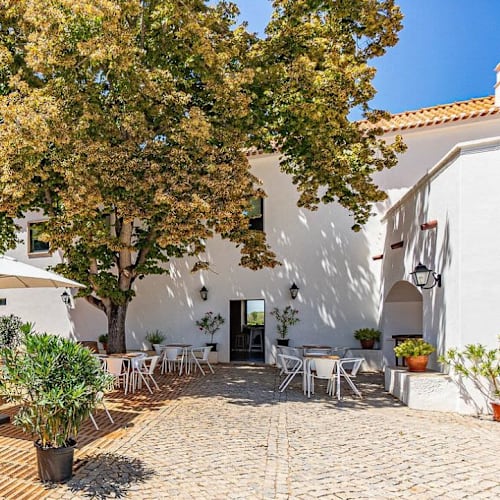 Restaurante Convent' Bio, Lagoa