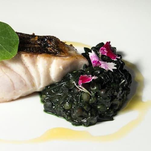 CamiVell Alzira, Alzira