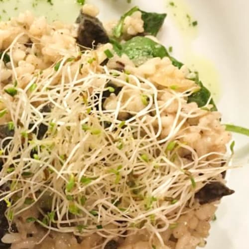 Alcázar - Andalusí Tapas, Sevilla