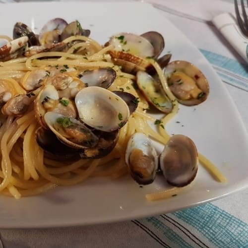 Forte 74, Marina di Bibbona