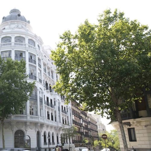 Petit Palace Savoy Alfonso XII, Madrid
