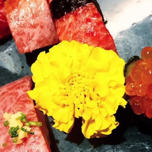 Jorudan Sushi, Napoli