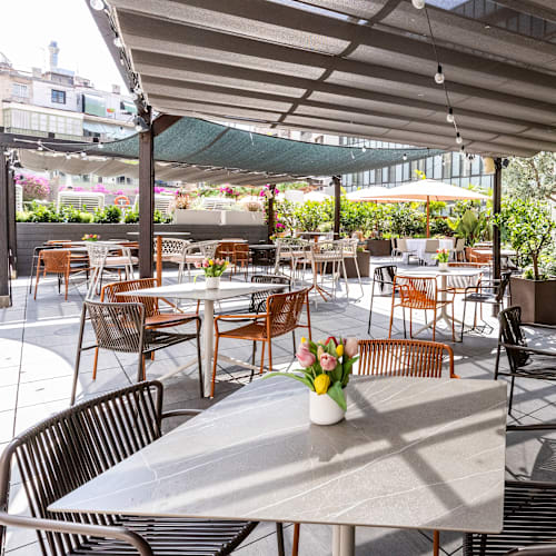 La Terrassa de Pelai, Barcelona