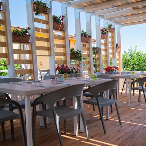 Saccharum, Altavilla Milicia