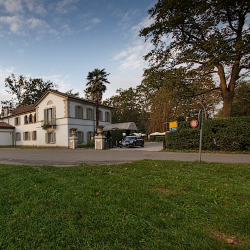 Saint Georges Premier, Monza