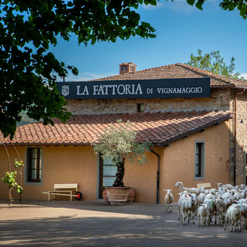 La Fattoria Di Vignamaggio, Panzano In Chianti