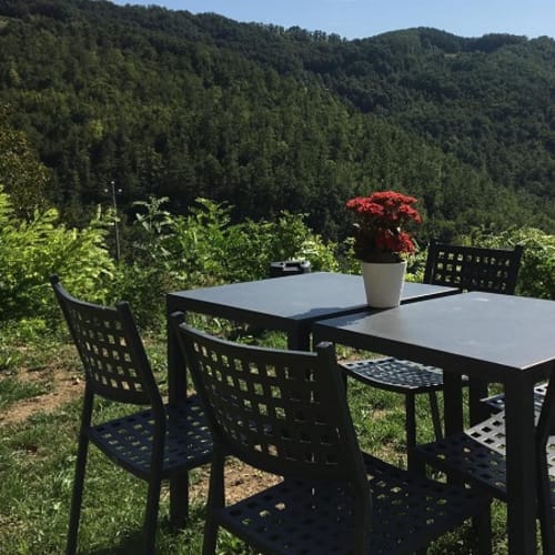 Tenuta Baroni Campanino, Assisi