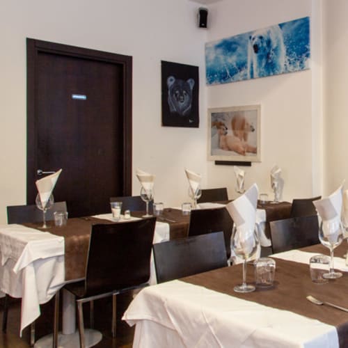 Orso Bianco Giassai, Lissone