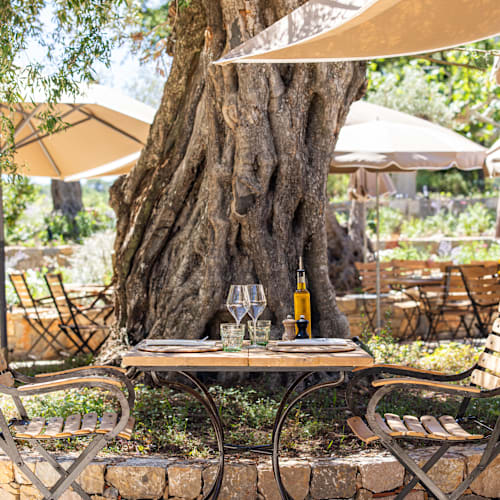 Le Bistrot du Château de Berne, Flayosc