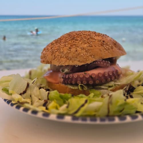 Flamingo beach club, Gallina