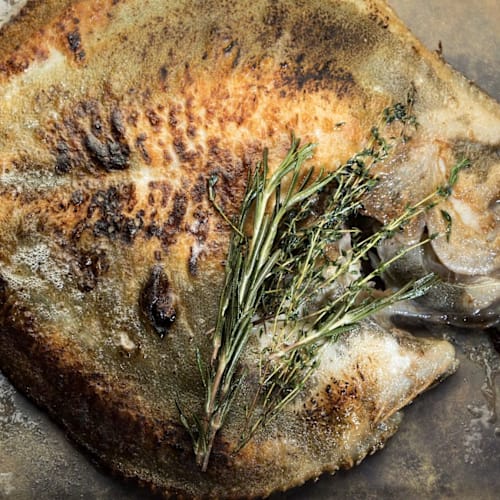 Villa Angelita by Alessandro Maino, Benicàssim