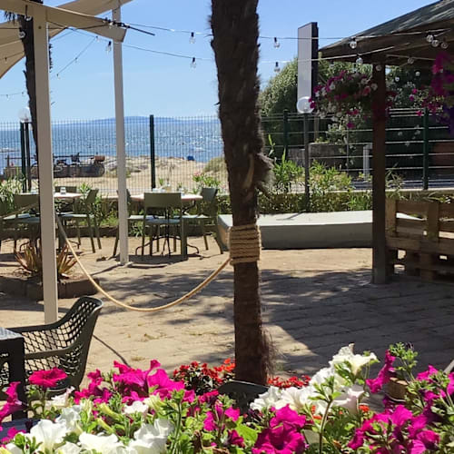 Vedrai Ristorante Pizzeria presso Camping Tahiti, Follonica