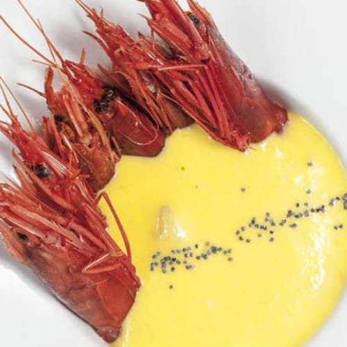 Shannara bistrot, Milano