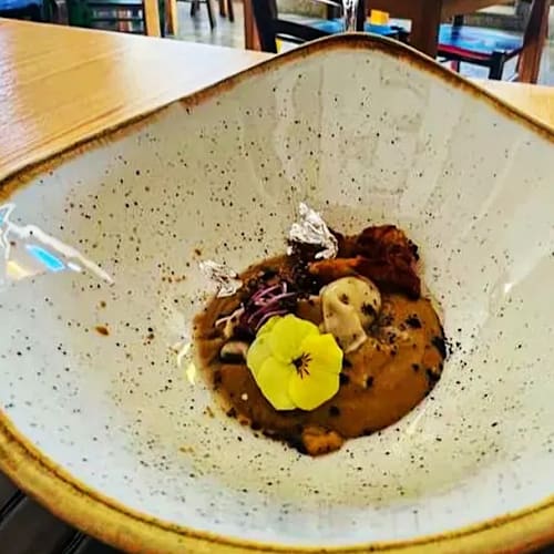 Seagull Tavern, Telti