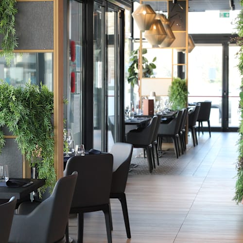 Shi's Vicenza, Vicenza