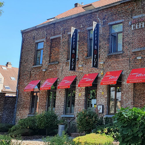 L'Effet Boeuf, Mons