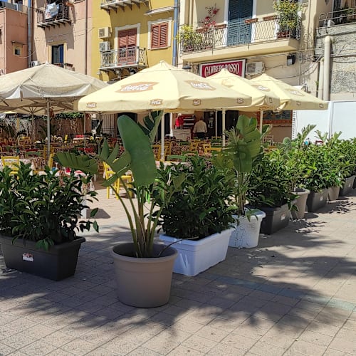 Gambero rosso, Porticello