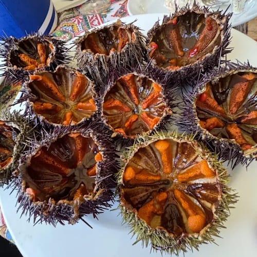 Gambero rosso, Porticello