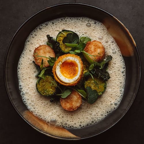 Aji, Rotterdam