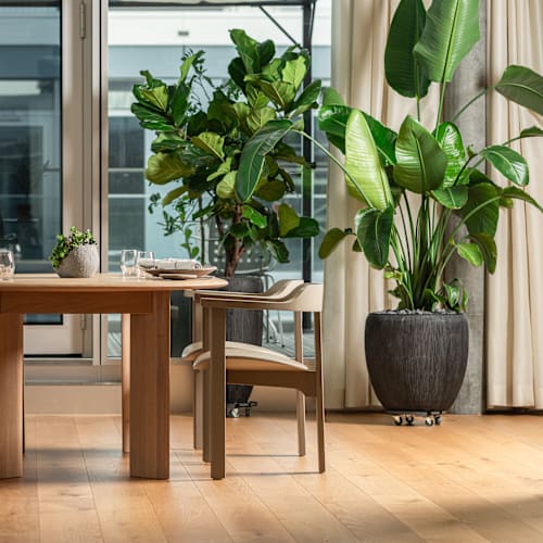 Restaurant le Tourbillon, Plan-les-Ouates