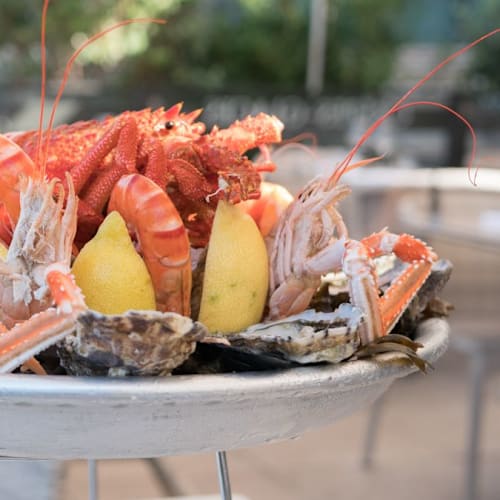 Le Roy René - Brasserie avec Terrasse – Fruits de Mer & Poissons, Marseille