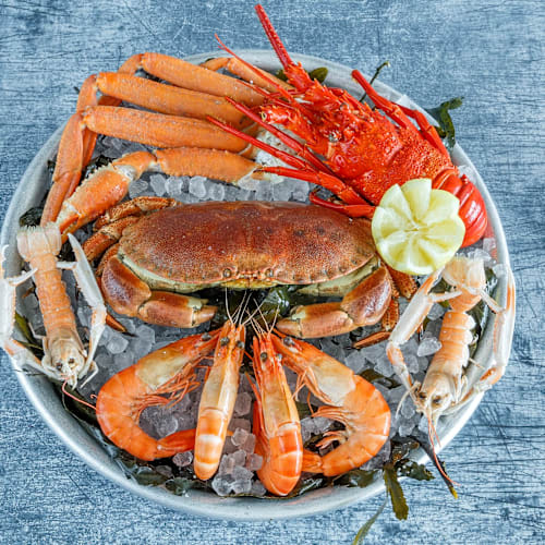 Le Roy René - Brasserie avec Terrasse – Fruits de Mer & Poissons, Marseille