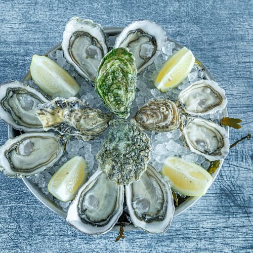 Le Roy René - Brasserie avec Terrasse – Fruits de Mer & Poissons, Marseille