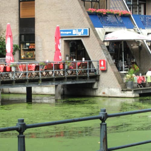 Eet- en Biercafe Haagse Bluf, Rotterdam