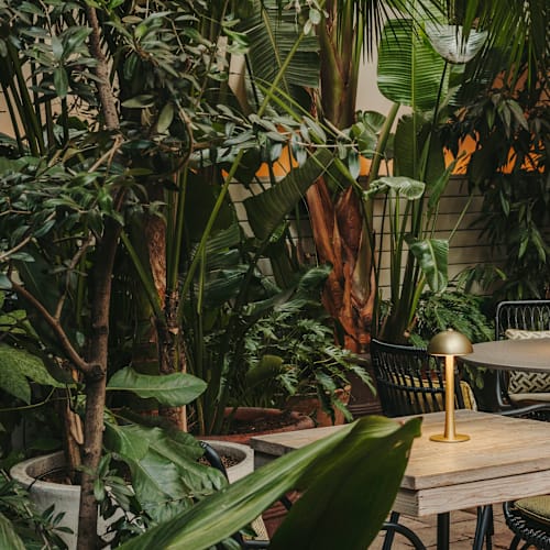 The Greenhouse Pulitzer, Barcelona