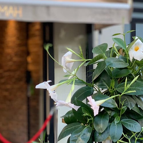 Samah Traiteur Restaurant Livry-Gargan, Livry-Gargan