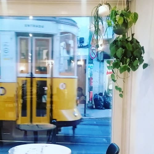 Maria Limão, Lisboa