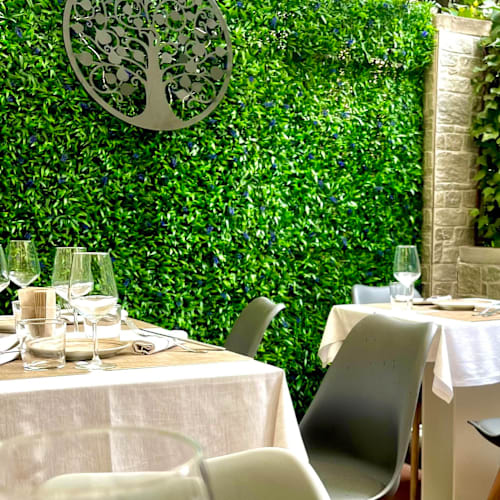 Anima Osteria Italiana, Firenze