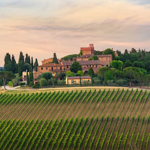 Borgo Tre Rose, Montepulciano