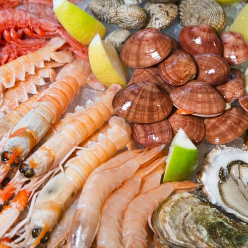 Eataly Roma Ostiense - Terra, Roma