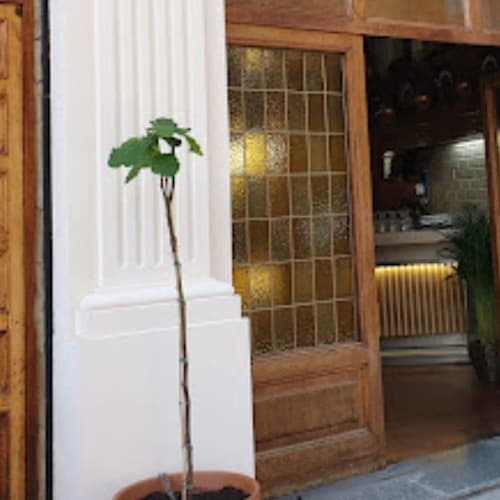 Don Isidro Taberna Peruana, Barcelona