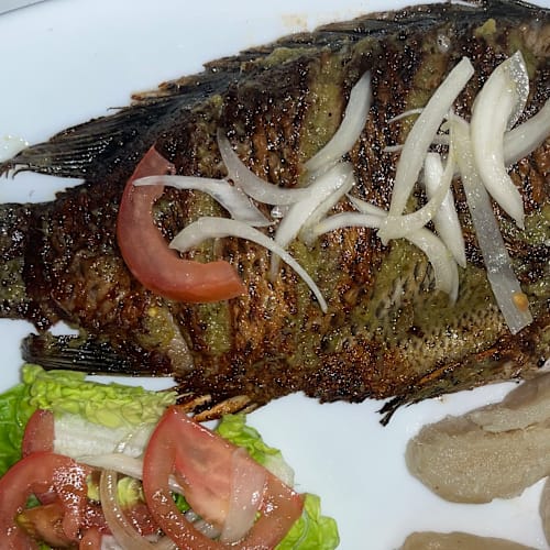 Rest'Occitanie, Toulouse