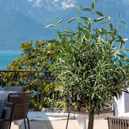 Terrasse du Petit Palais, Montreux
