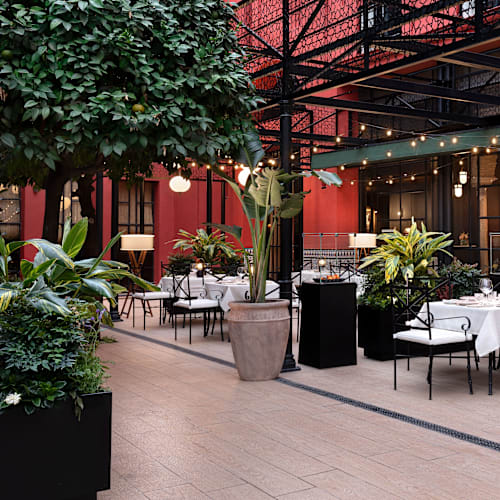 El Patio del Pali, Sevilla