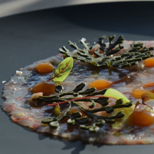 Terrazza 13, Segrate