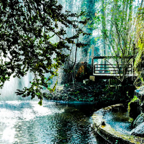 Les Jardins d'Épicure - Restaurant, Bray-et-Lû