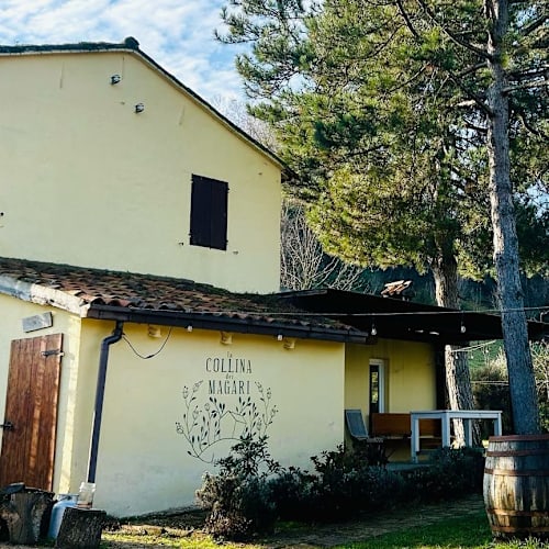 La Collina Dei Magari, Cesena