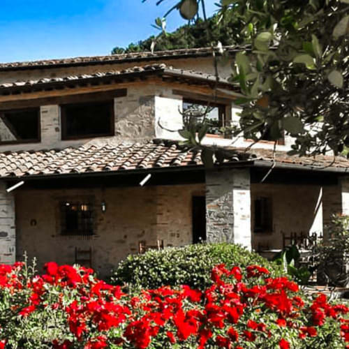 Bernardone, Camaiore