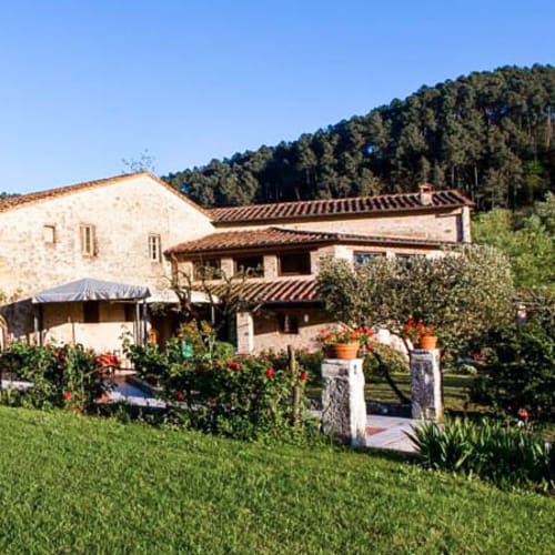 Bernardone, Camaiore